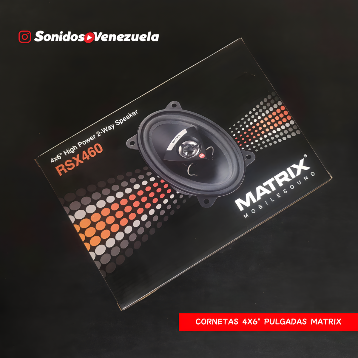Cornetas 4X6 Pulgadas Matrix RSX460 (El Par)